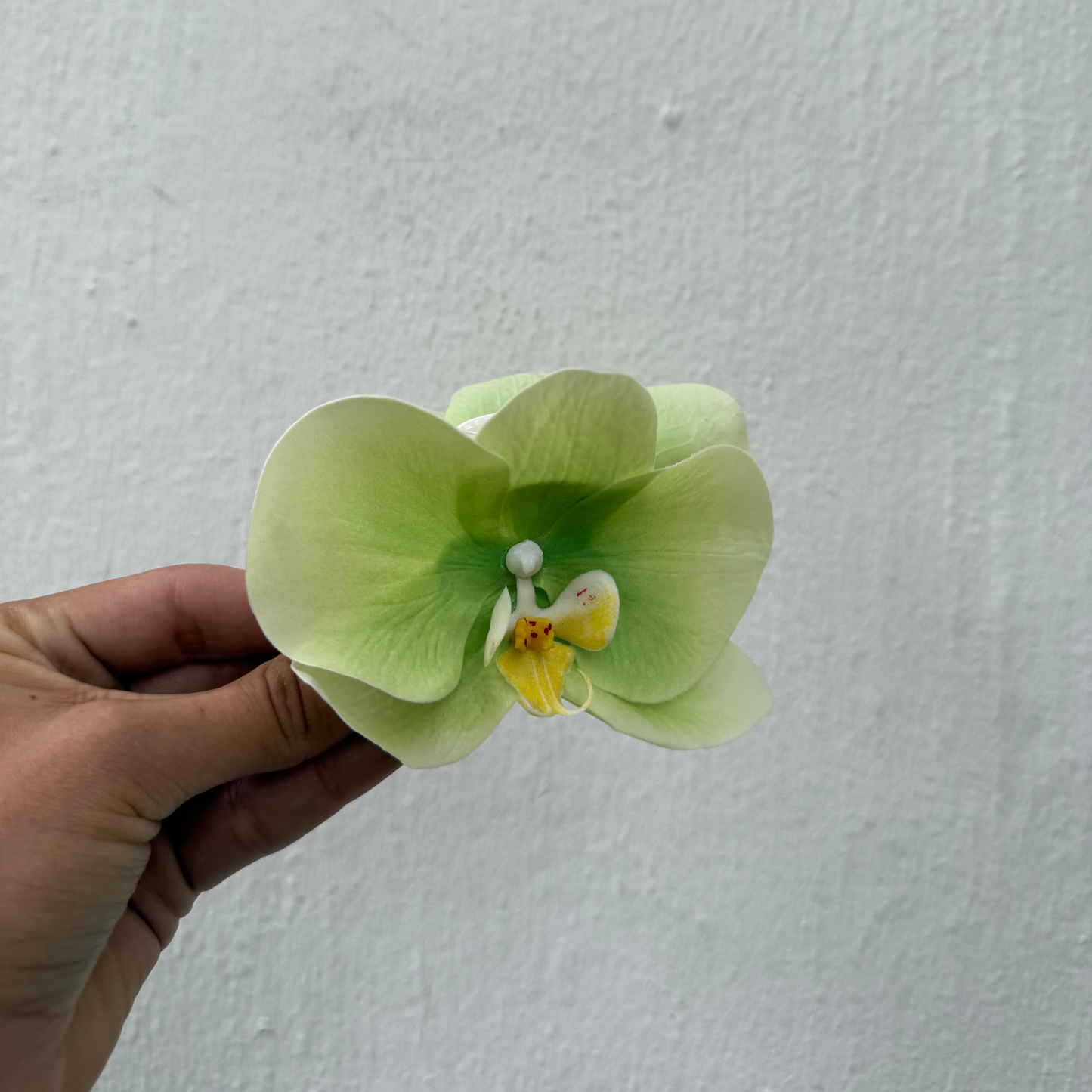 Small orchid hair clip - LIME