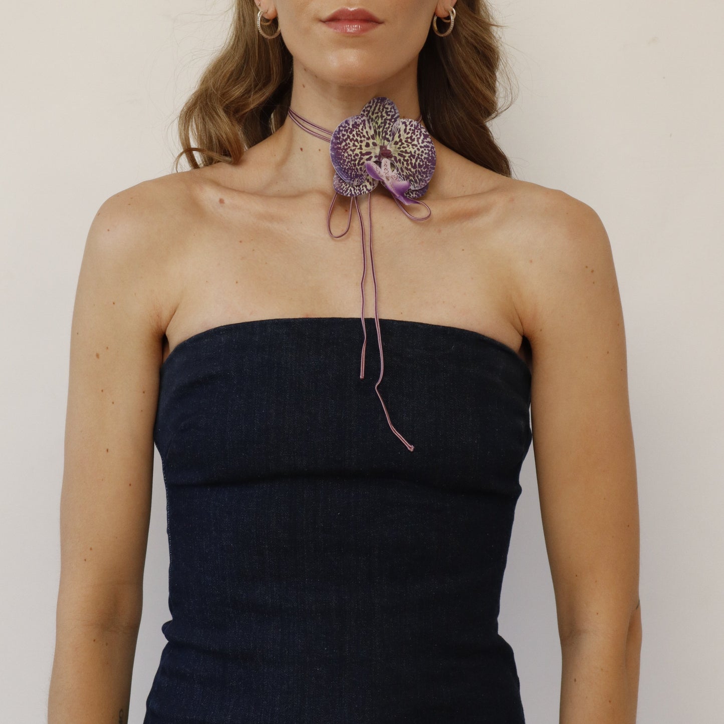 Hana Himo - Violet Midnight orchid