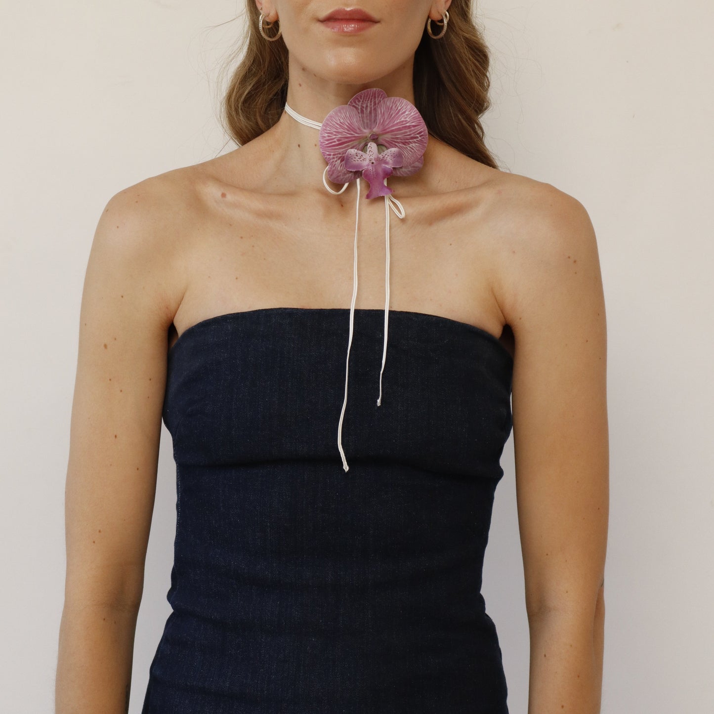 Hana Himo - Lavender blush orchid