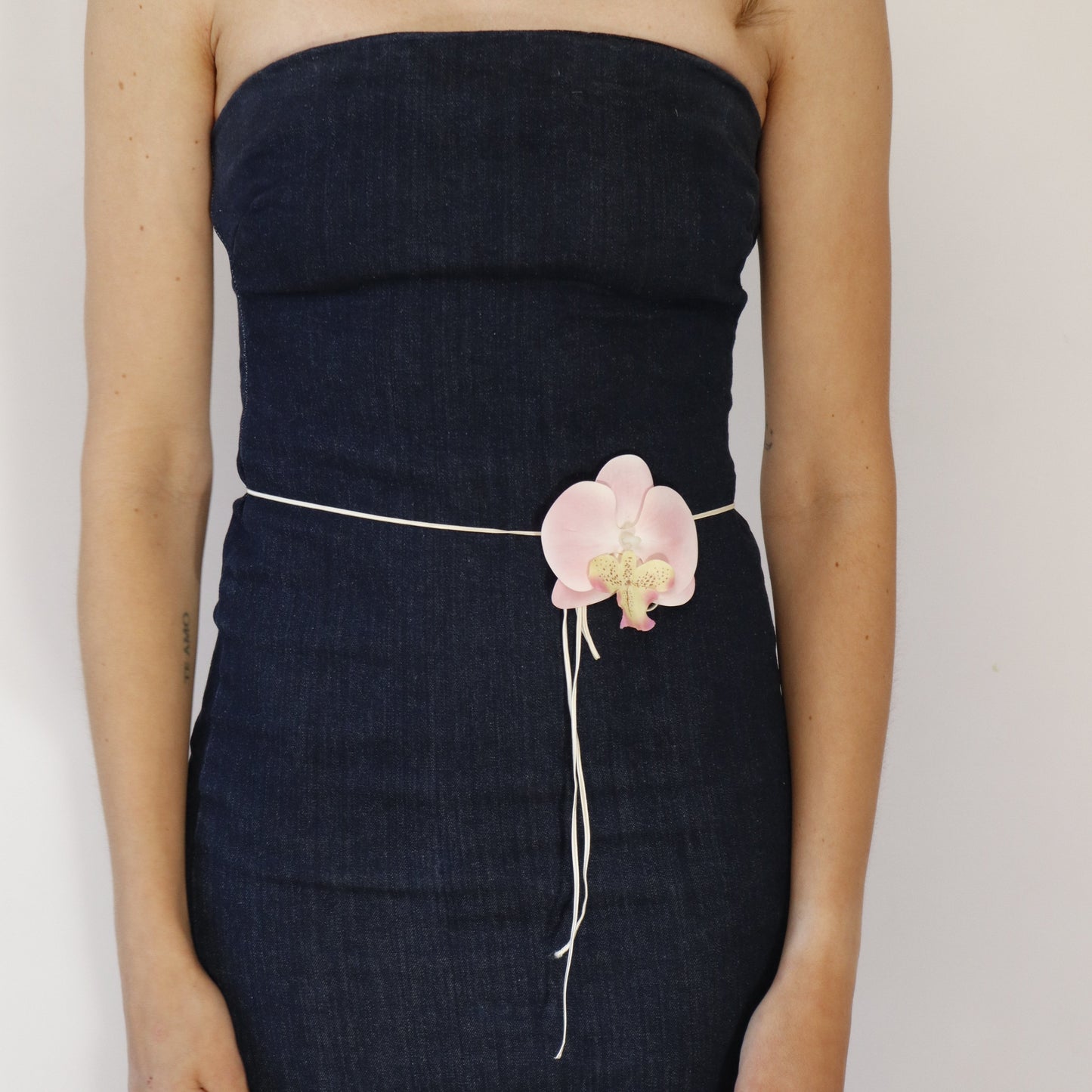 Hana Himo - Cotton Candy orchid
