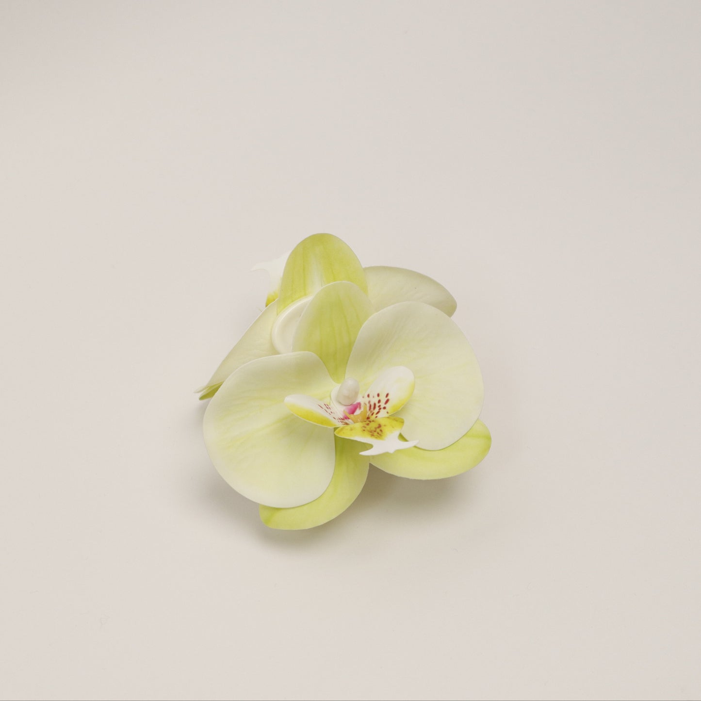 SUMMER EDITION - Small orchid hair clip (LIME SORBET)