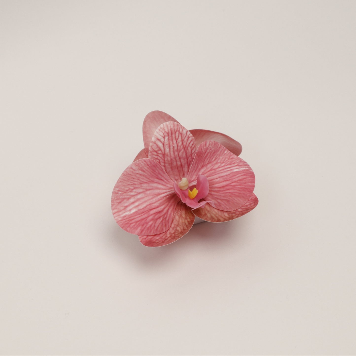 SUMMER EDITION - Small orchid hair clip (DUSTY PINK)