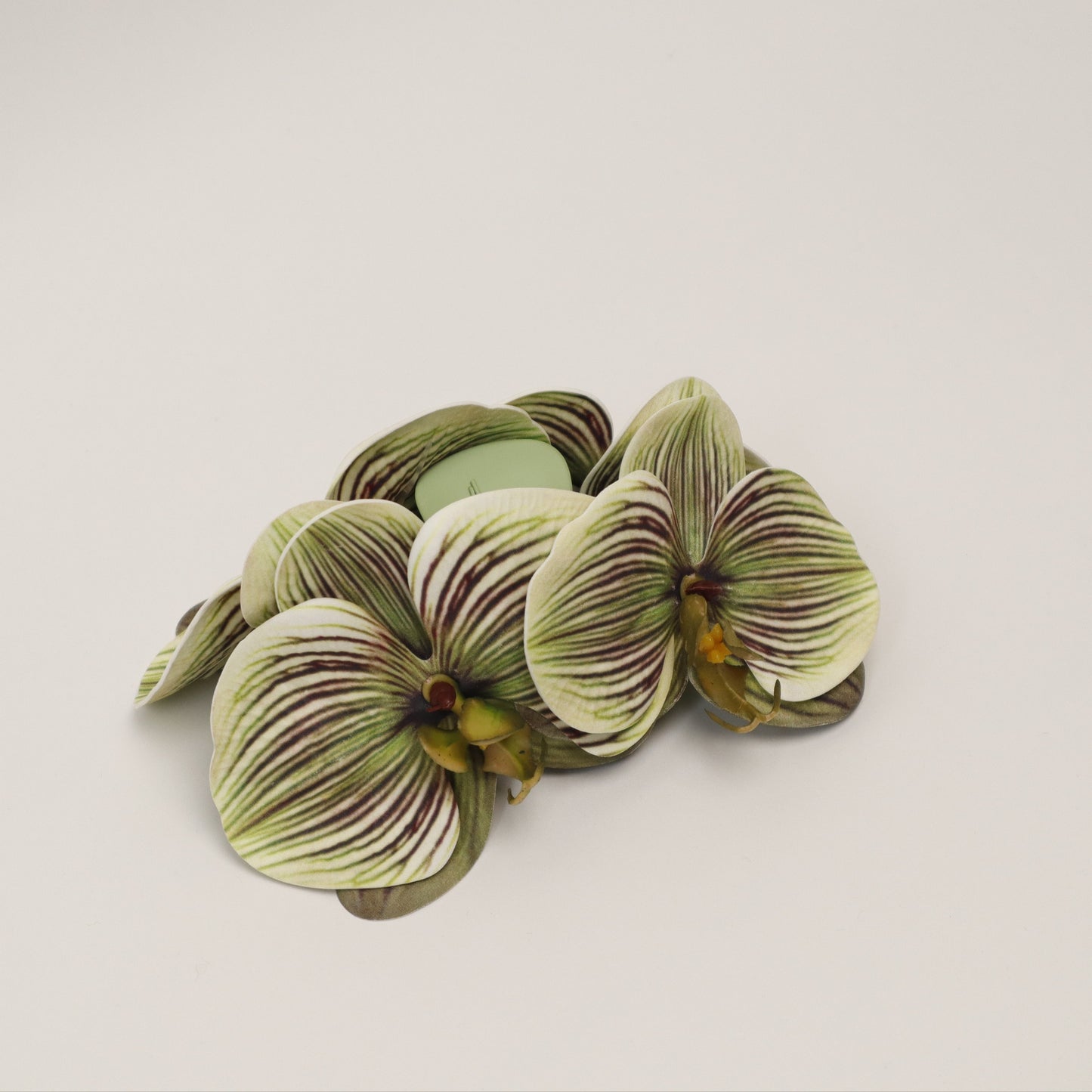 SUMMER EDITION - Large orchid hair clip (MATCHA)