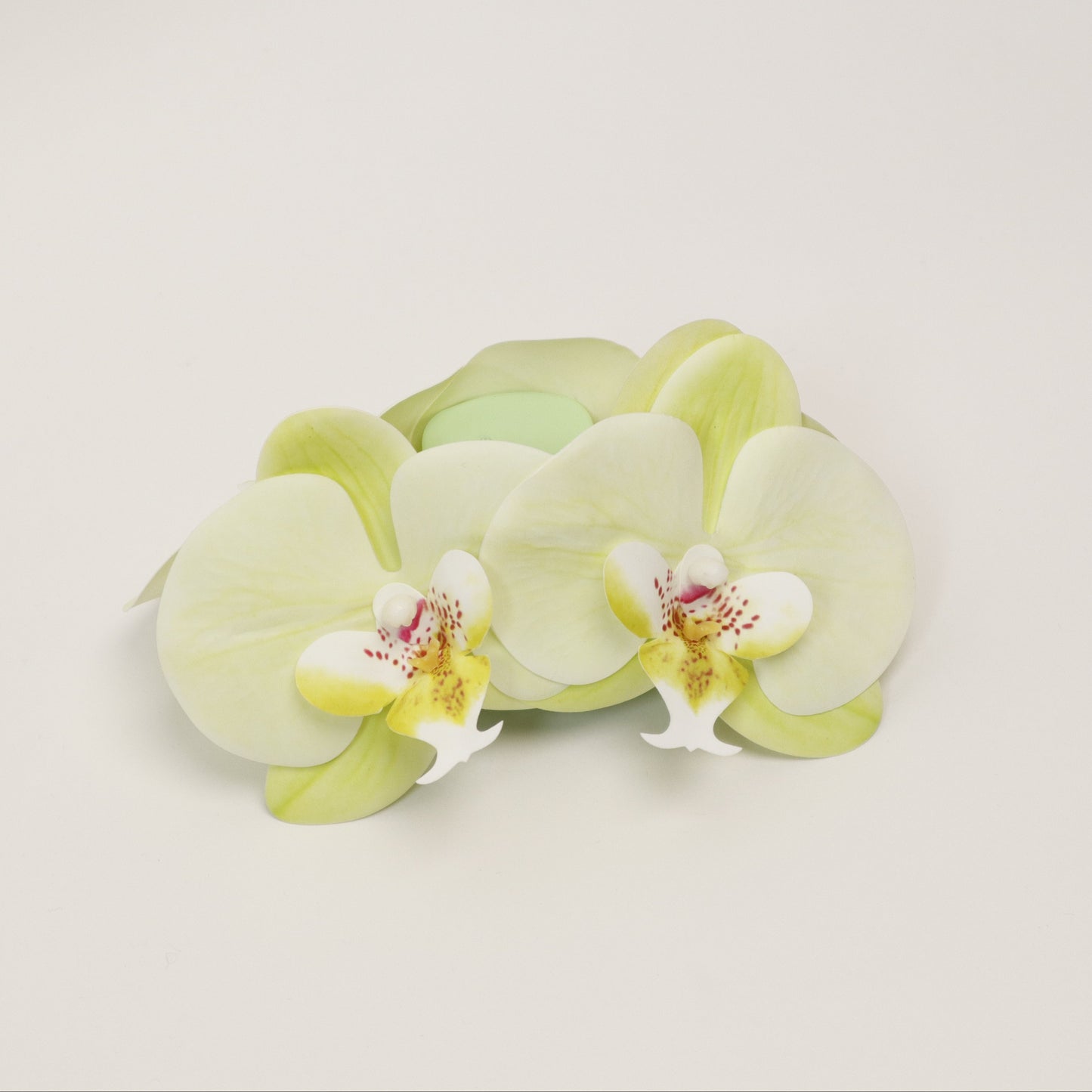 SUMMER EDITION - Large orchid hair clip (LIME SORBET)