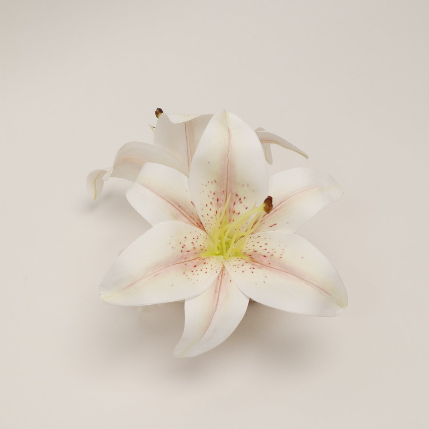 SUMMER EDITION - Large Lily hair clip (DUSTY PINK)