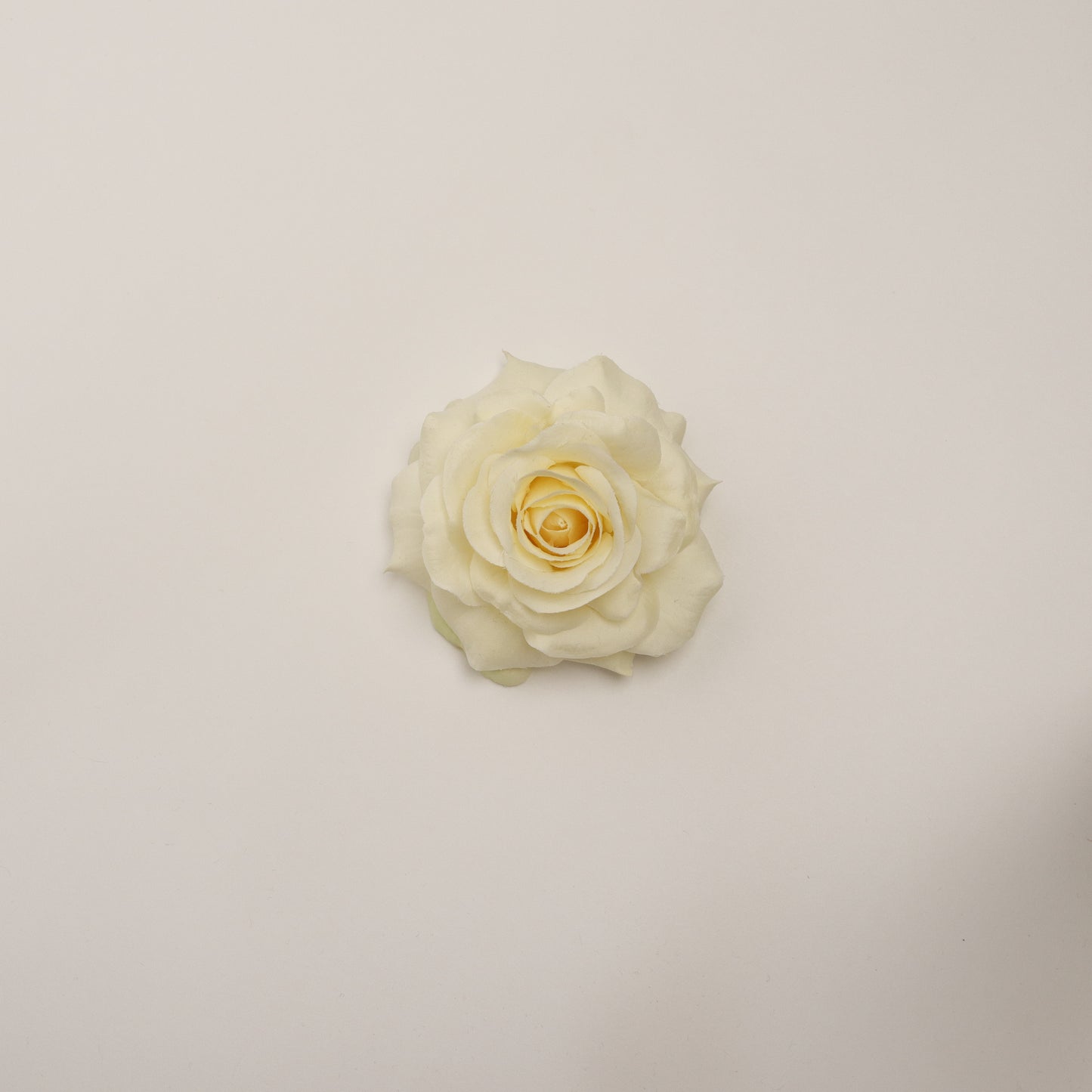 Hana Himo - Ivory Rose