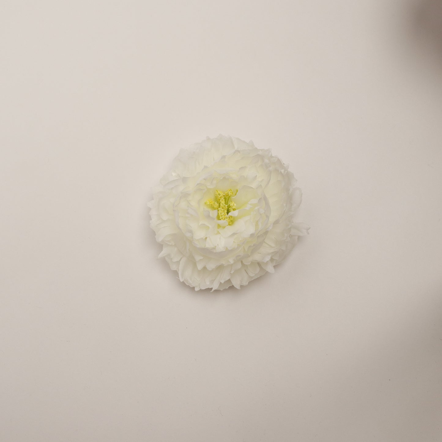 Hana Himo - White Peony