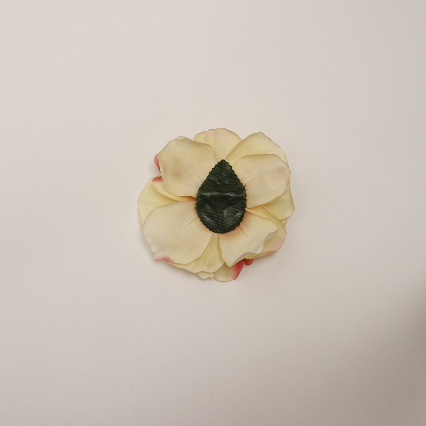 Hana Himo - Yellow Anemone