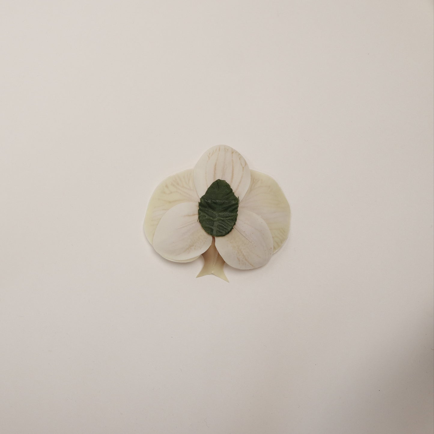 Hana Himo - Beige orchid