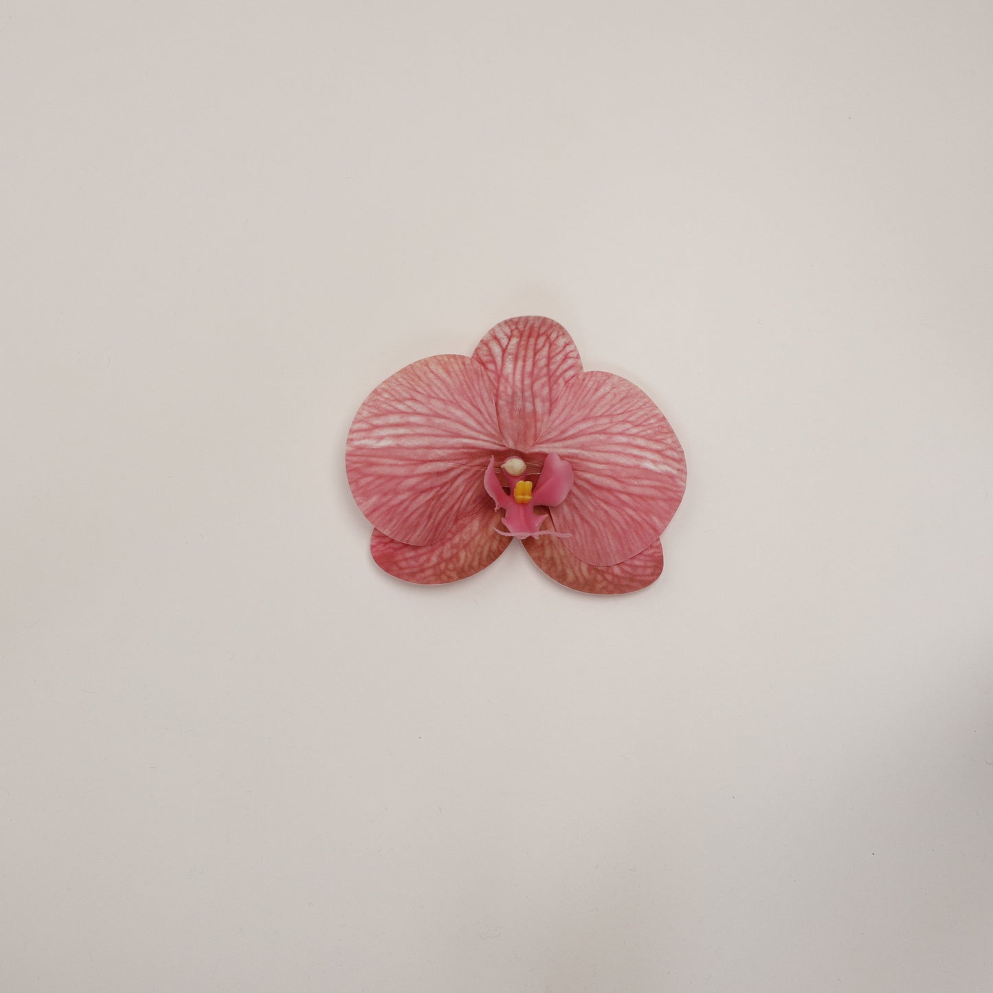Hana Himo - Dusty pink orchid