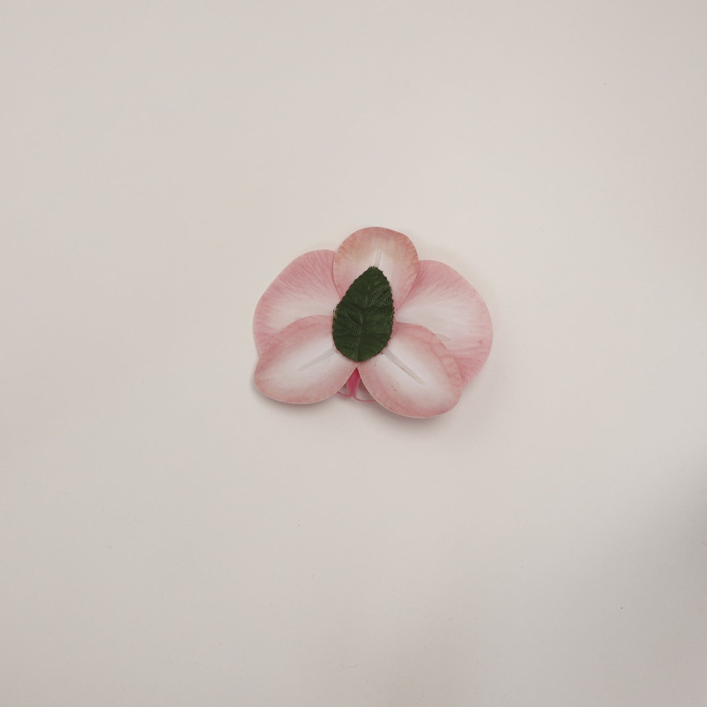 Hana Himo - Dusty pink orchid