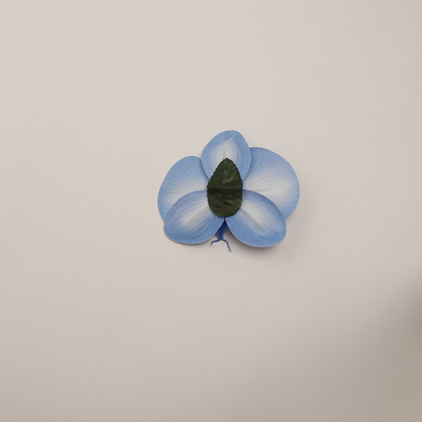 Hana Himo - Dark blue orchid