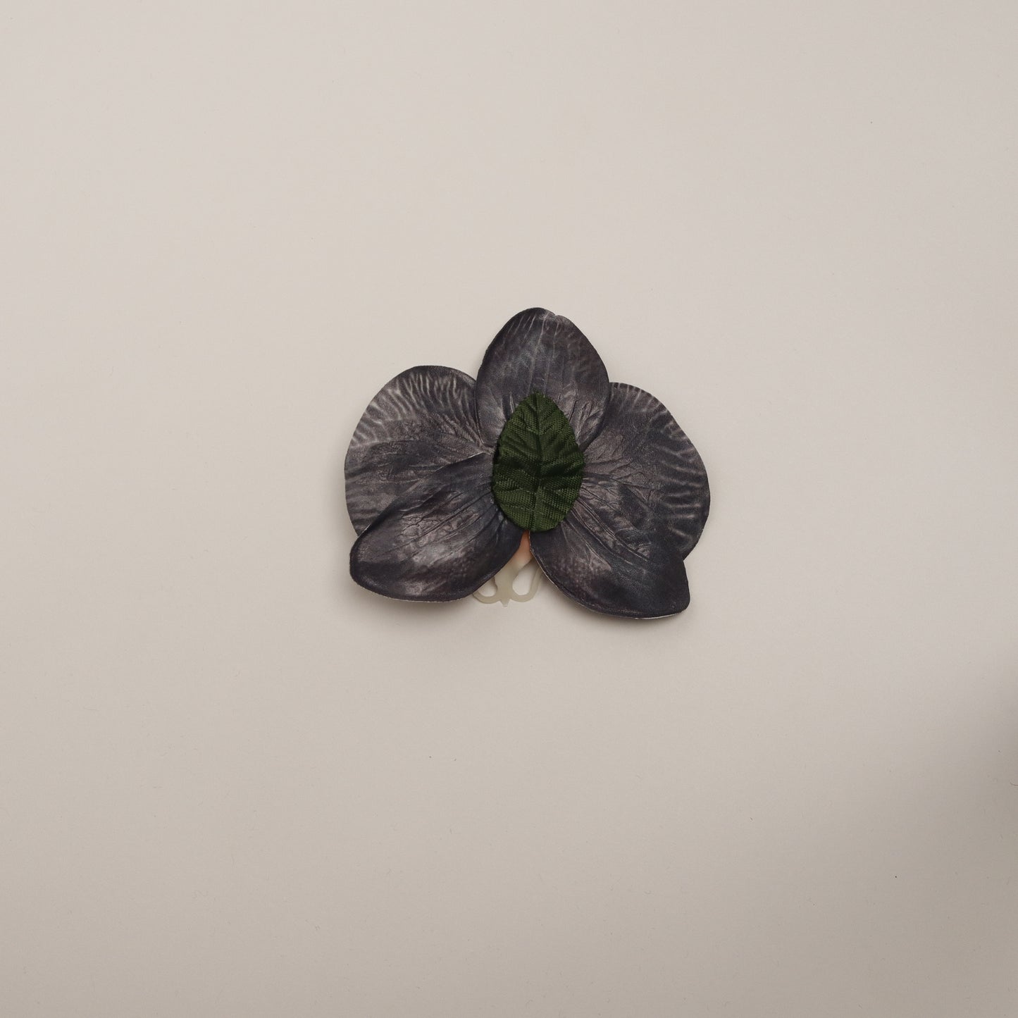 Hana Himo - Black orchid