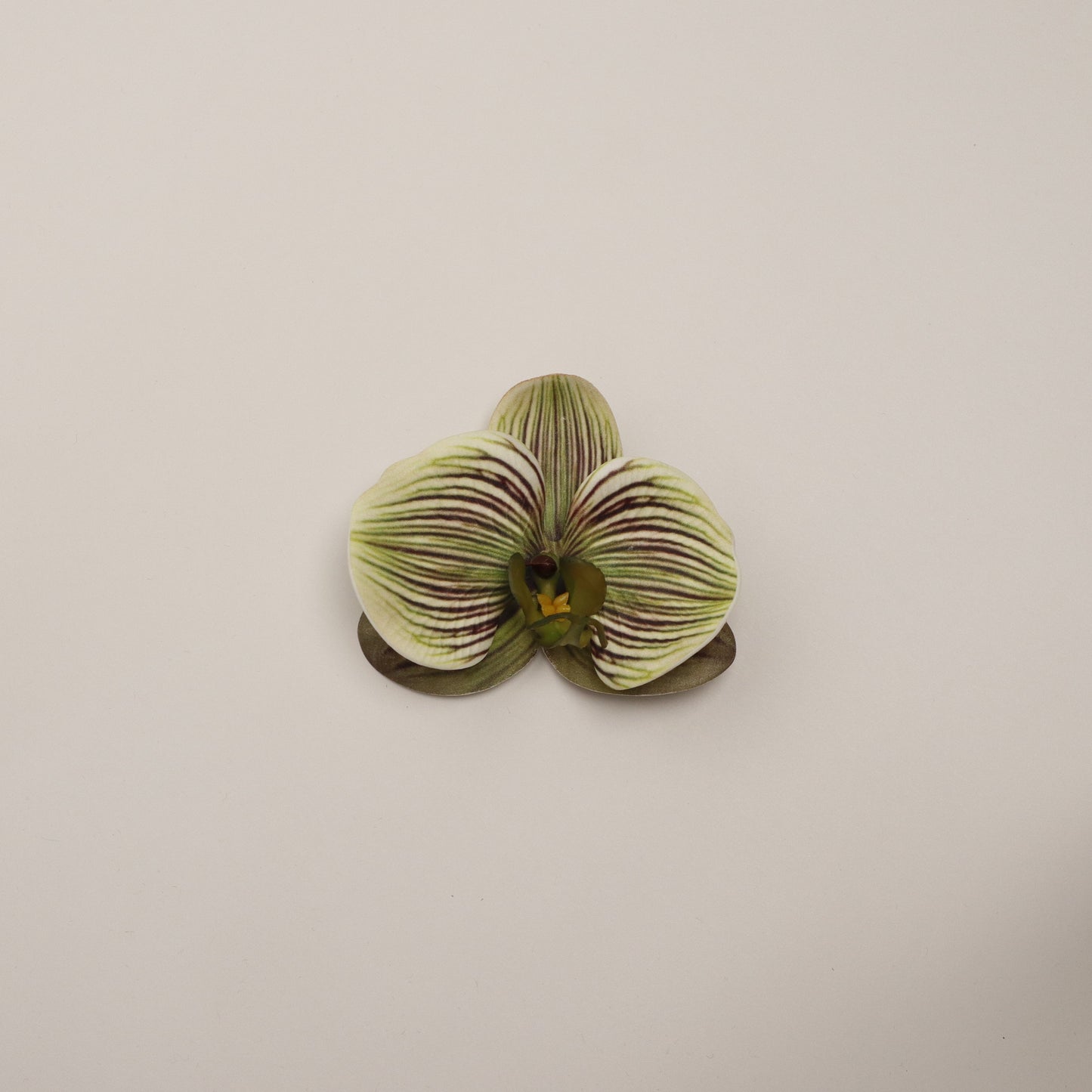 Hana Himo - Matcha orchid