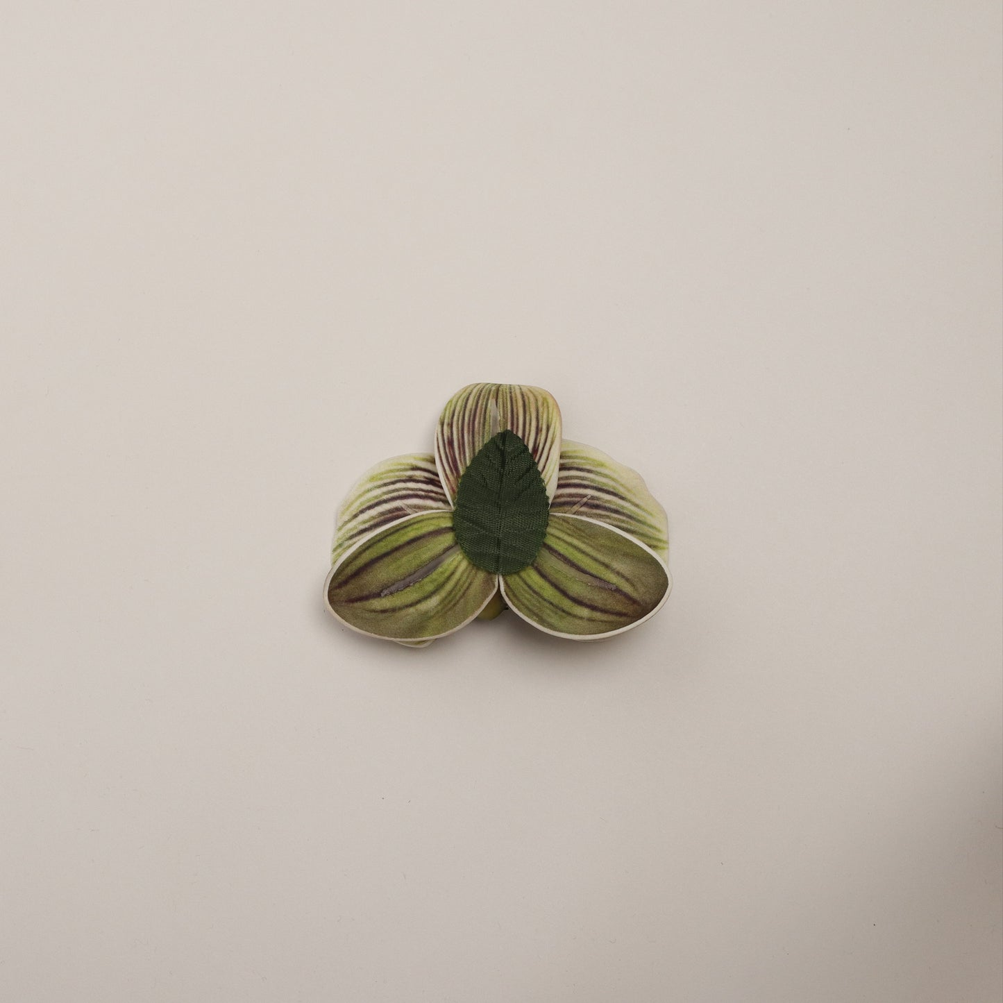 Hana Himo - Matcha orchid