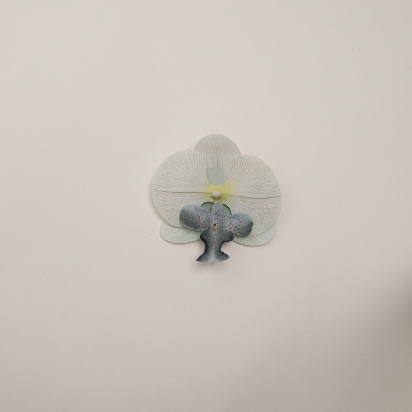 Hana Himo - Sky blue orchid