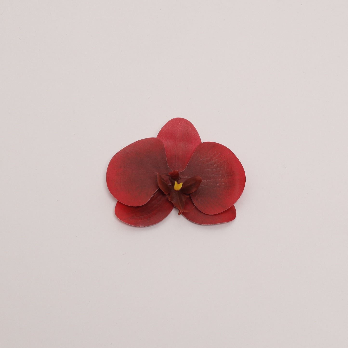 Hana Himo - Red orchid