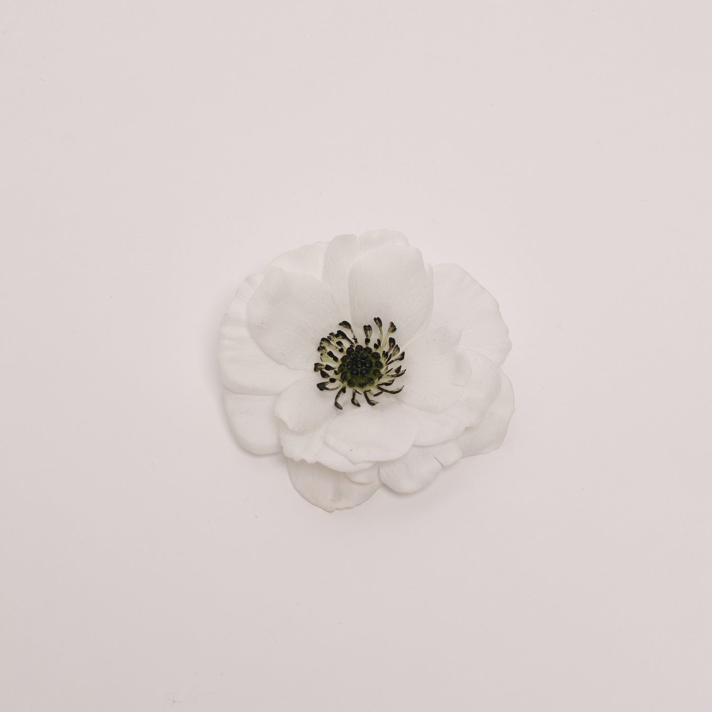 Hana Himo - White Anemone