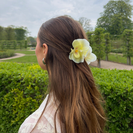 SS26 Collection - Small orchid hair clip (BUTTER YELLOW)