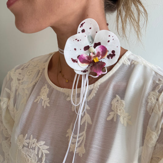 SS26 Collection - Hana Himo (POLKA DOTS)