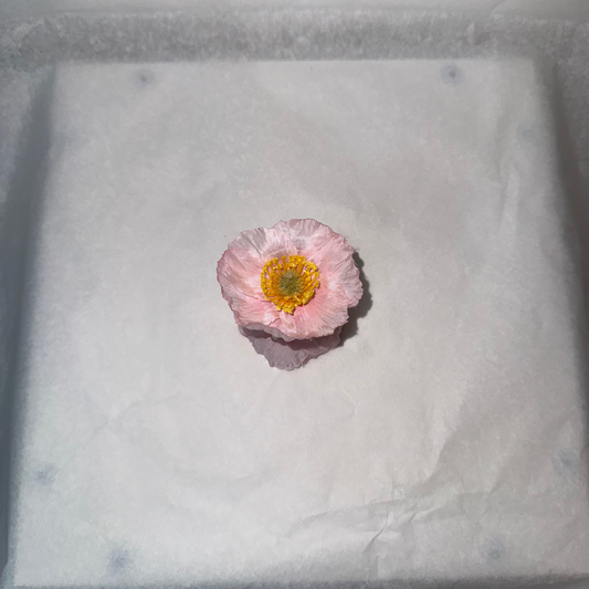 SUMMER EDITION - Mini Poppy hair clip (PINK)
