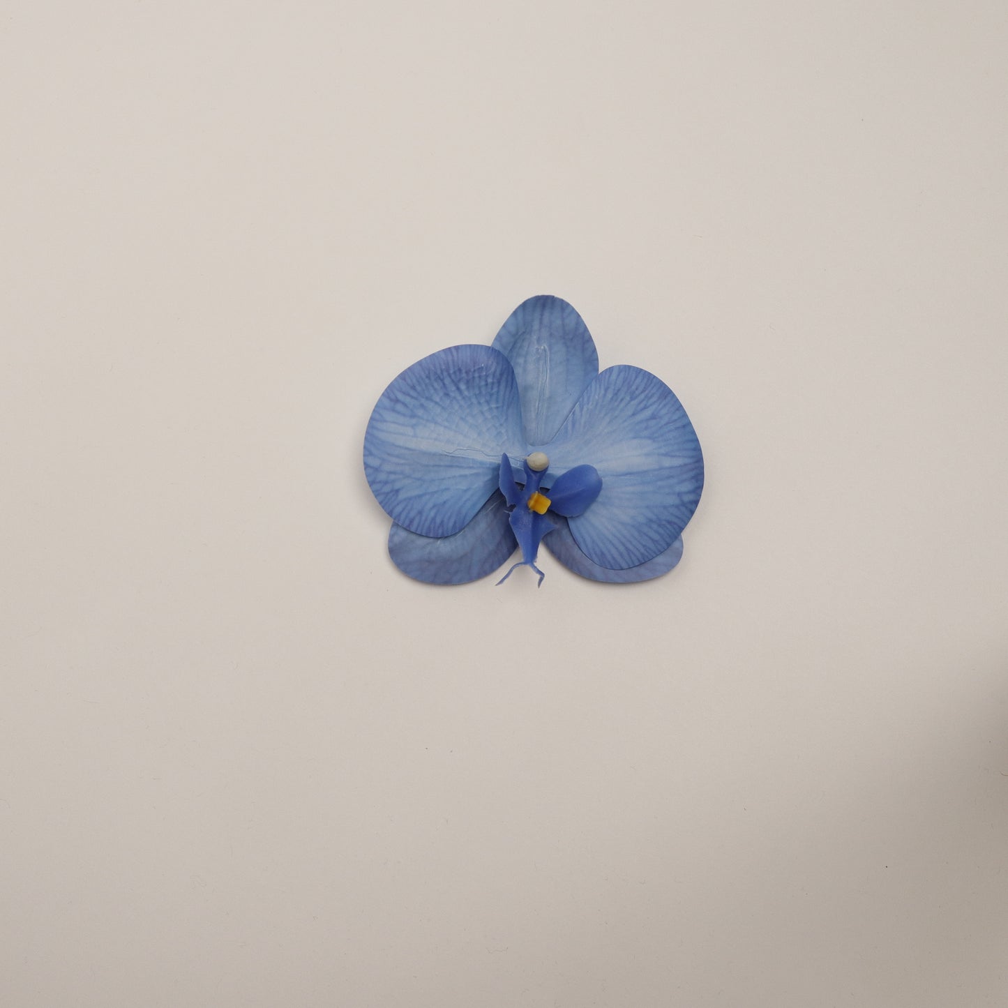 Hana Himo - Dark blue orchid