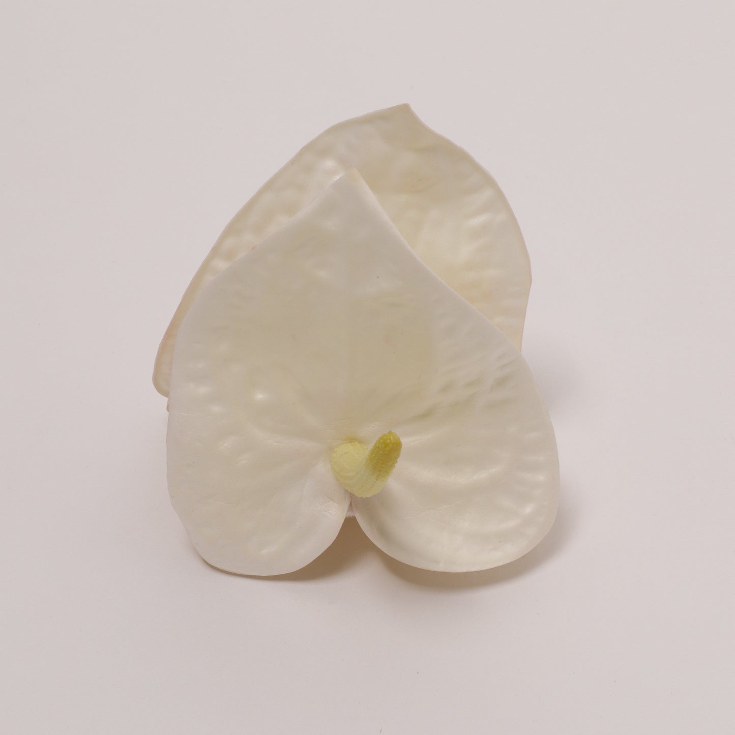 CHRISTMAS EDITION - Anthurium hair clip (SNOW WHITE)